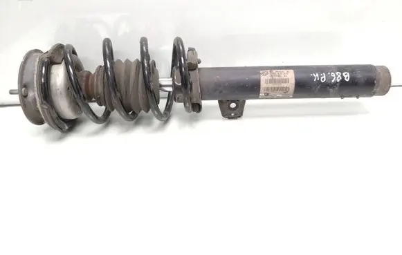 BMW X1 E84 Front shock absorber with coil spring 6855239