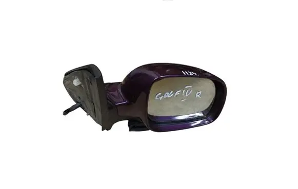 Volkswagen Golf IV Front door electric wing mirror E1020514