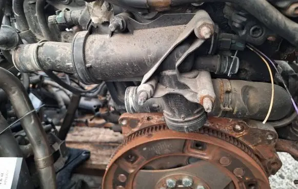 Citroen C5 Engine coolant pipe/hose 9656182980
