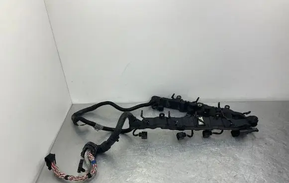 Engine installation wiring loom