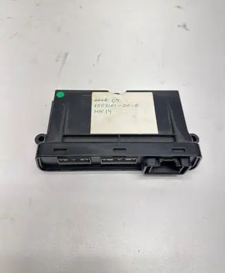 Tesla Model S Door control unit/module 100310100E