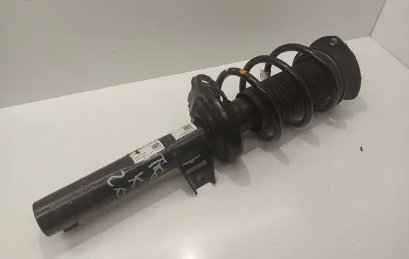 Volkswagen Tiguan Allspace Front shock absorber with coil spring 5QF412022BG