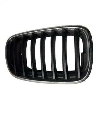 BMW X5 E70 Front bumper upper radiator grill 7171396 51137171396