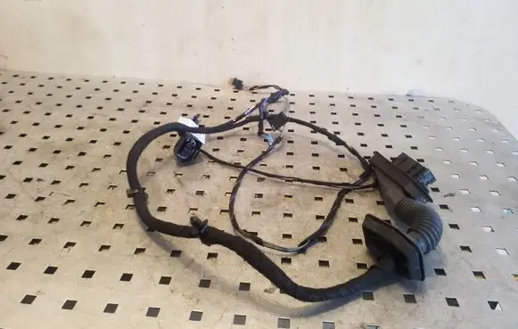 BMW X1 E84 Front door wiring loom 14524661 9191809
