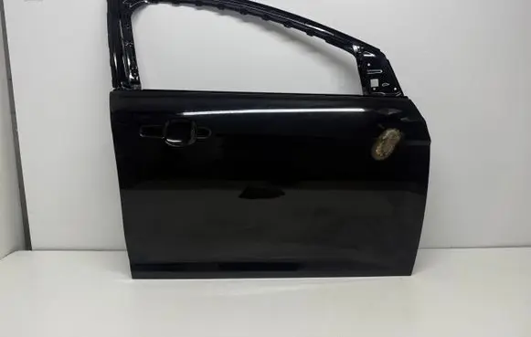 Ford Focus Front door 