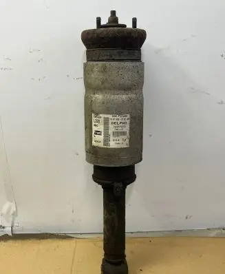 Land Rover Range Rover Sport L320 Air suspension front shock absorber 22257273