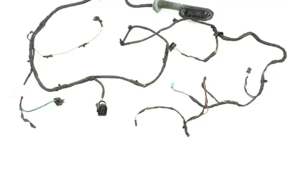 BMW 5 F10 F11 Front door wiring loom 9273445 61129282071