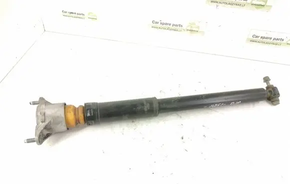 Mercedes-Benz B W246 W242 Rear shock absorber/damper 2463201831 A2463201831