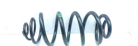 Rear coil spring