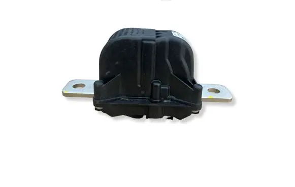 Tesla Model 3 Fuse 106468900J