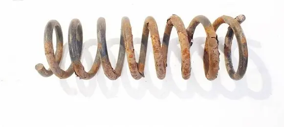 Rear coil spring