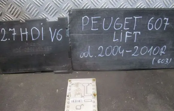 Peugeot 607 Xenon control unit/module 