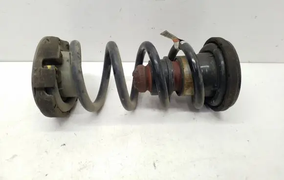 Chrysler Pacifica Rear coil spring 1034AA P68231034AA