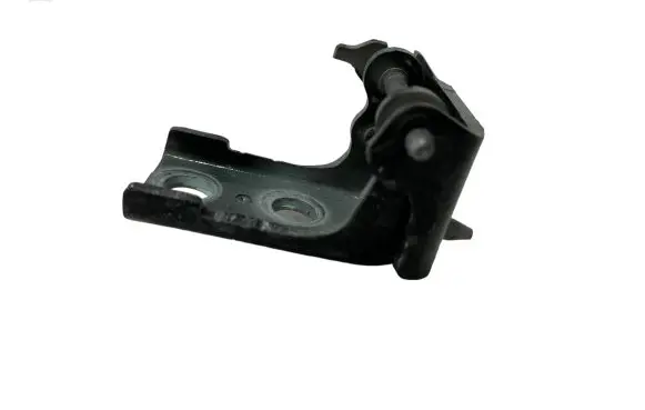 Citroen DS5 Front door lower hinge 
