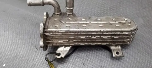 Volkswagen Golf V EGR valve cooler 038431513ad
