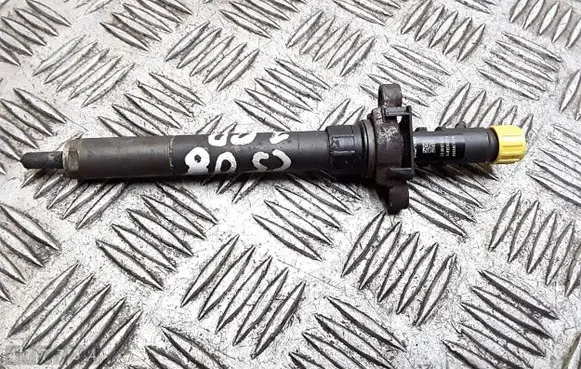 Citroen C5 Fuel injector