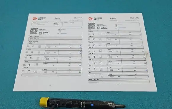 Renault Megane II Fuel injector EJBR01801Z IMPRK1558429