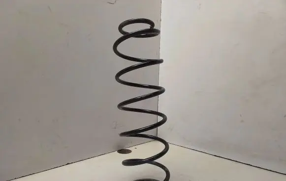 Renault Laguna II Rear coil spring