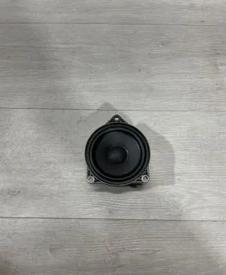 Tesla Model 3 Panel speaker 107974200B