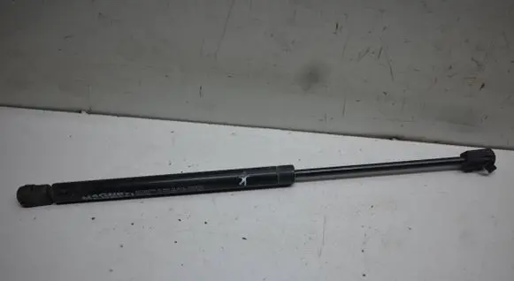 Tailgate/trunk strut/damper