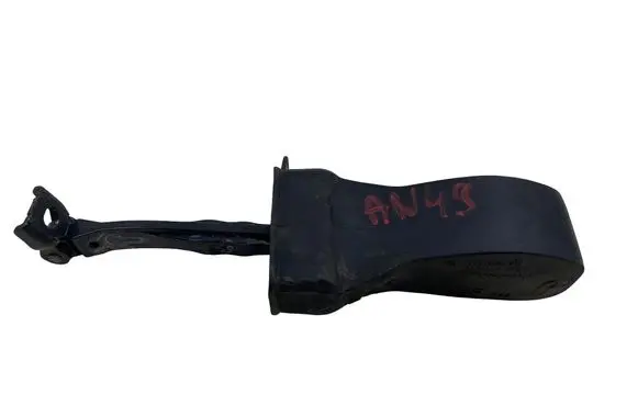 Volkswagen PASSAT B8 Rear door check strap stopper 3G0839267