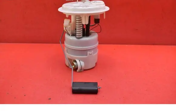 Peugeot 407 In-tank fuel pump 
