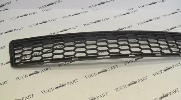 BMW X3 F25 Front bumper lower grill 8048097