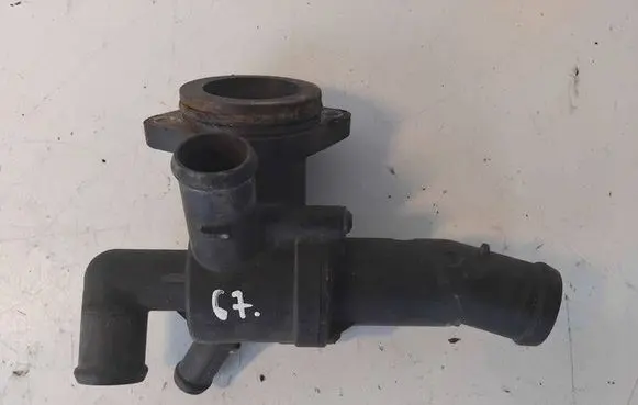 Thermostat/thermostat housing