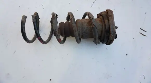 Rear coil spring