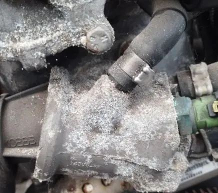 Fiat Bravo Engine coolant pipe/hose
