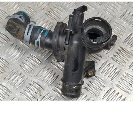 Thermostat/thermostat housing