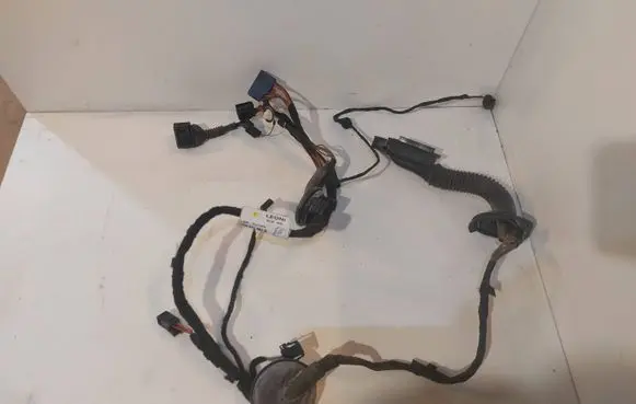 Rear door wiring loom