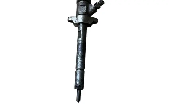 Citroen C5 Fuel injector 0445110297
