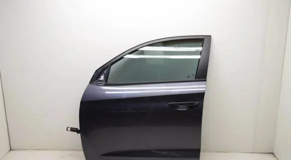 Hyundai Tucson IV NX4 Front door