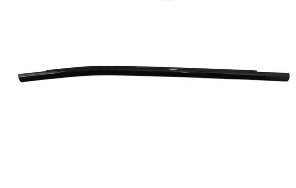Rear door glass trim molding