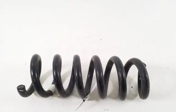 Rear coil spring
