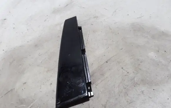 Rear door trim (molding)