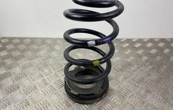 Hyundai Grand Santa Fe NC Rear coil spring