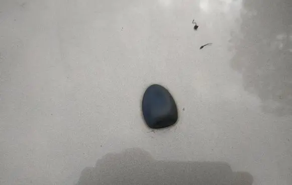 Peugeot 307 Windshield washer spray nozzle 