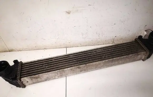 Mercedes-Benz A W169 Intercooler radiator A1695000000