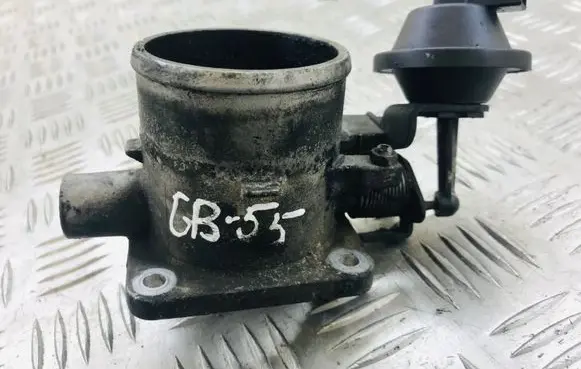 Hyundai Getz Throttle valve 3310027