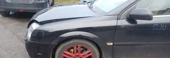 Opel Signum Fender