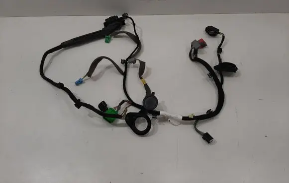 Front door wiring loom