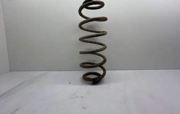 Rear coil spring