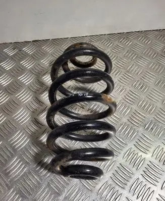 Rear coil spring