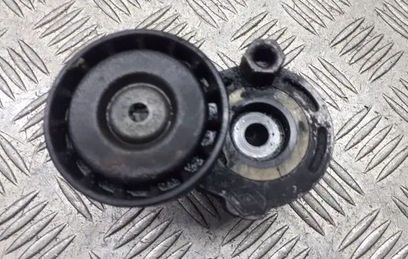 Renault Megane II Alternator belt tensioner pulley 