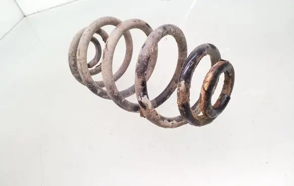 Rear coil spring