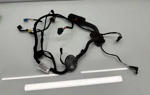 Front door wiring loom