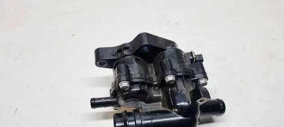 KIA Niro Thermostat 2560008HA0