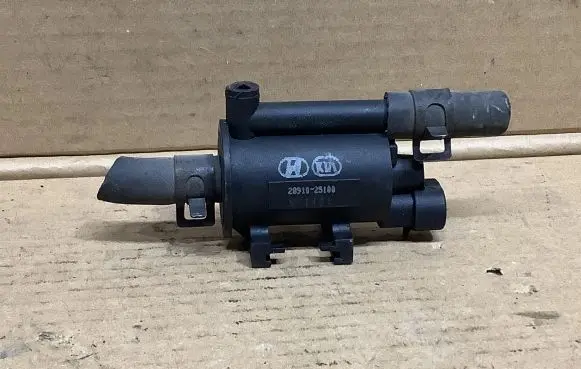Hyundai Sonata Vacuum valve 2891025100